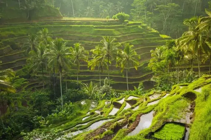 Rekomendasi Tempat Wisata Alam Seru di Bali